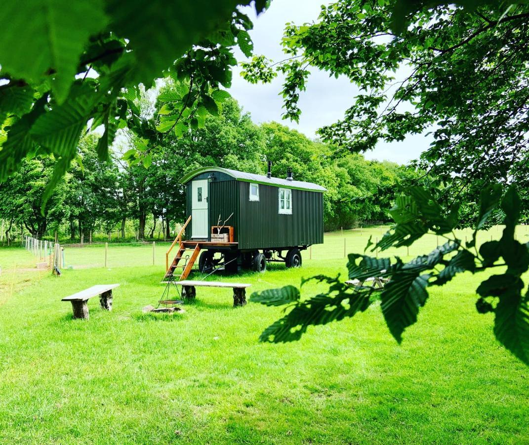 The Big Green Shepherds Hut Charlwood Exterior photo